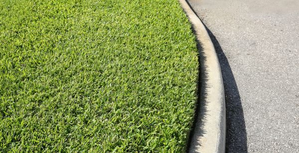 Cost of Street Curb Repair in Marion
