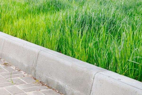 Cost of Concrete Curb Repair in Marion