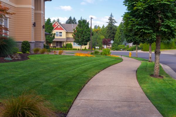 Cost of Sidewalk Patching in Marion
